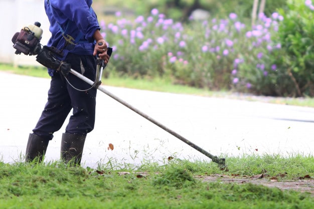 Đơn vị cung cấp dịch vụ cắt cỏ uy tín An Khang