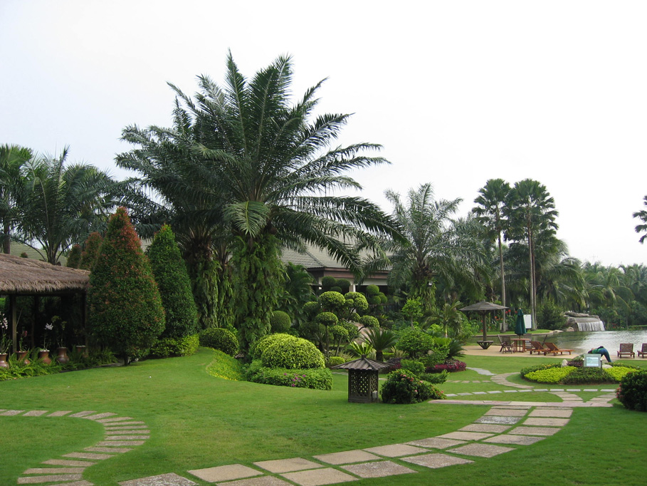 Quy trình thực hiện của công ty thi công cảnh quan ở Đồng Xoài Bình Phước