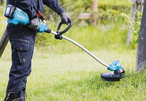 Dịch vụ cắt cỏ ở Bình Long Bình Phước - dịch vụ tổ chức quy mô mới