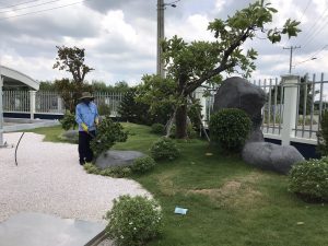 Nơi cung cấp dịch vụ cắt tỉa cây xanh Bình Long Bình Phước