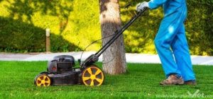 Đơn vị cung cấp dịch vụ cắt cỏ ở Chơn Thành Bình Phước