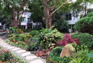 Đơn vị thi công cảnh quan ở Chơn Thành Bình Phước chuyên nghiệp