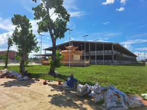 Đơn vị trồng cây xanh ở Chơn Thành Bình Phước chuyên nghiệp và uy tín