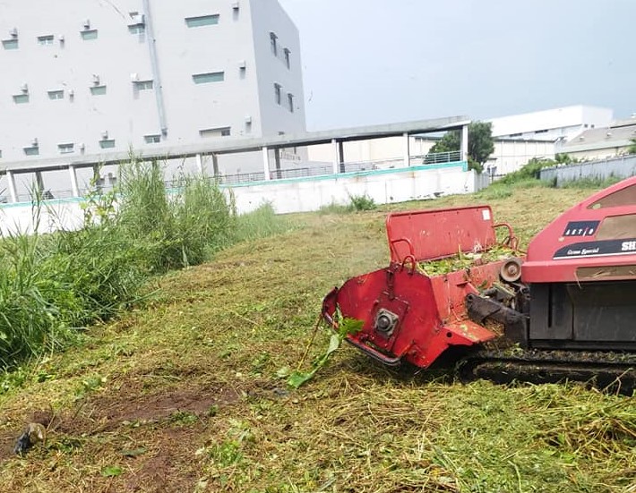 Dịch vụ cắt cỏ uy tín của công ty An Khang