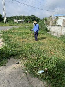 Dịch vụ cắt cỏ ở Bù Đăng Bình Phước