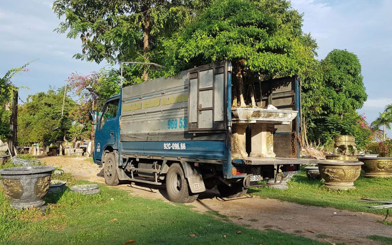 Những điểm cần lưu ý khi di dời cây xanh ở Chơn Thành Bình Phước
