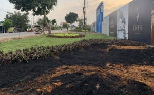 Dịch vụ trồng cỏ ở Bù Đăng Bình Phước chuyên nghiệp