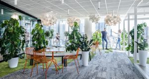 Dịch vụ cho thuê cây cảnh văn phòng ở Đồng Phú Bình Phước giá rẻ