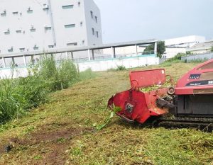 Dịch vụ cắt cỏ ở Đồng Phú Bình Phước