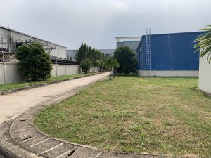 Dịch vụ cắt cỏ ở Hớn Quản Bình Phước