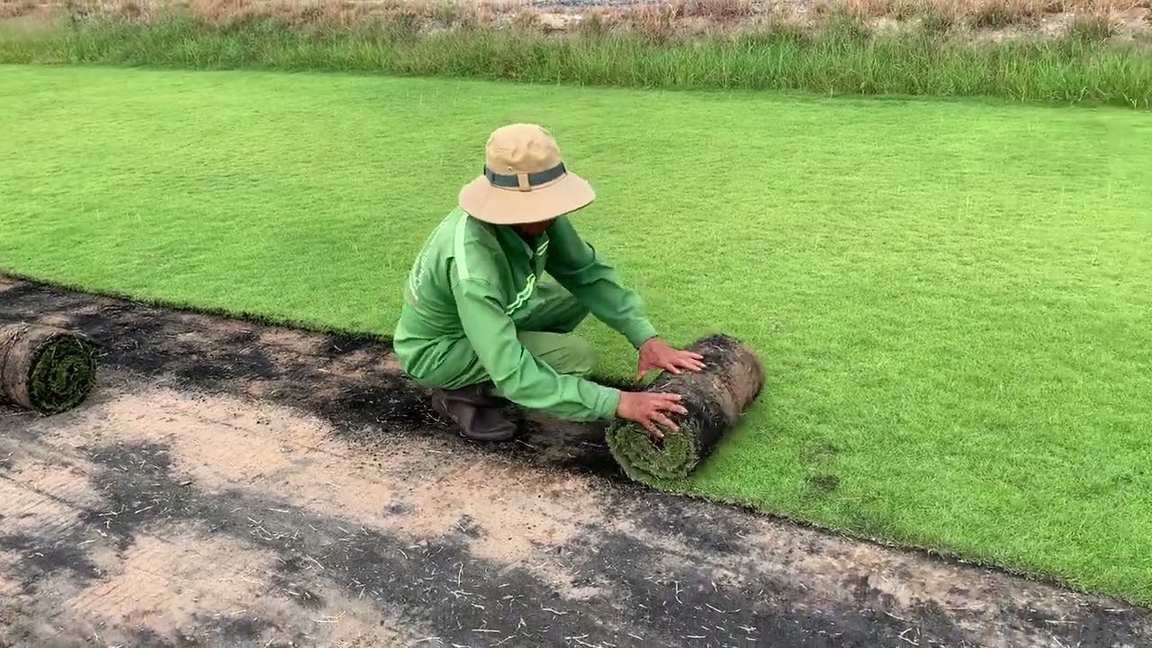 Dịch vụ trồng cỏ tại Hớn Quản, Bình Phước của An Khang bao gồm các dịch vụ nào?