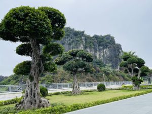 Trồng cây xanh tại Hớn Quản, Bình Phước