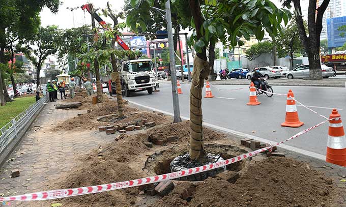 Quy trình trồng cây xanh ở Lộc Ninh Bình Phước của An Khang