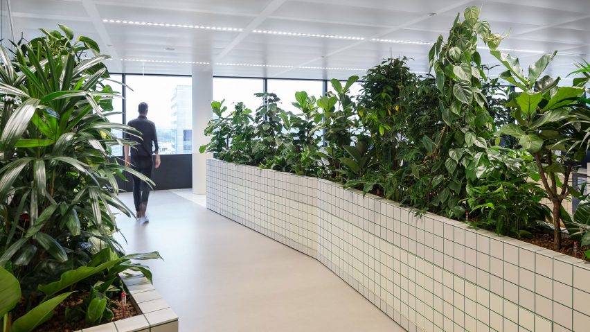 Các bước làm việc của công ty cho thuê cây cảnh văn phòng ở Lộc Ninh Bình Phước