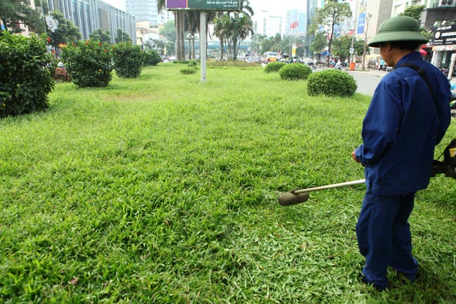 Tận hưởng lợi ích của dịch vụ cắt cỏ ở Phú Riềng