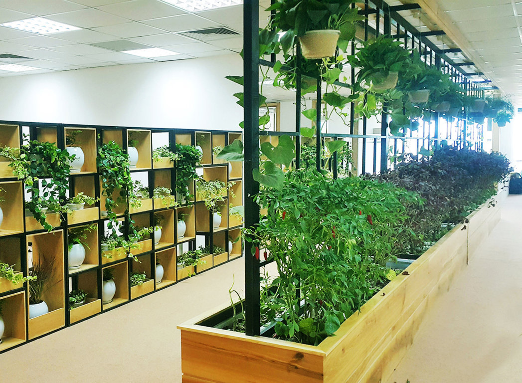 Đặt niềm tin vào chúng tôi để có không gian xanh hoàn hảo