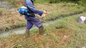 Cắt cỏ ở Dĩ An Bình Dương hiệu quả nhanh chóng