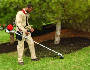 Cắt cỏ ở Thủ Dầu Một Bình Dương giá rẻ