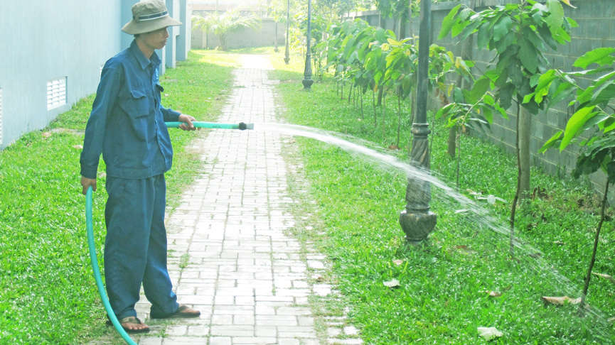 Dịch vụ chăm sóc cây xanh tại Dĩ An của An Khang nhiều ưu điểm nổi bật