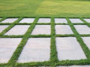 Trồng cỏ ở Thủ Dầu Một Bình Dương chuyên nghiệp