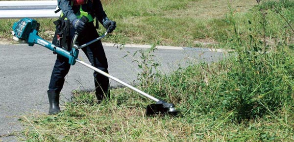 dịch vụ cắt cỏ  ở Thuận An Bình Dương 
