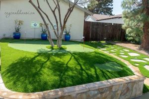 Đơn vị trồng cỏ tại Thuận An Bình Dương uy tín