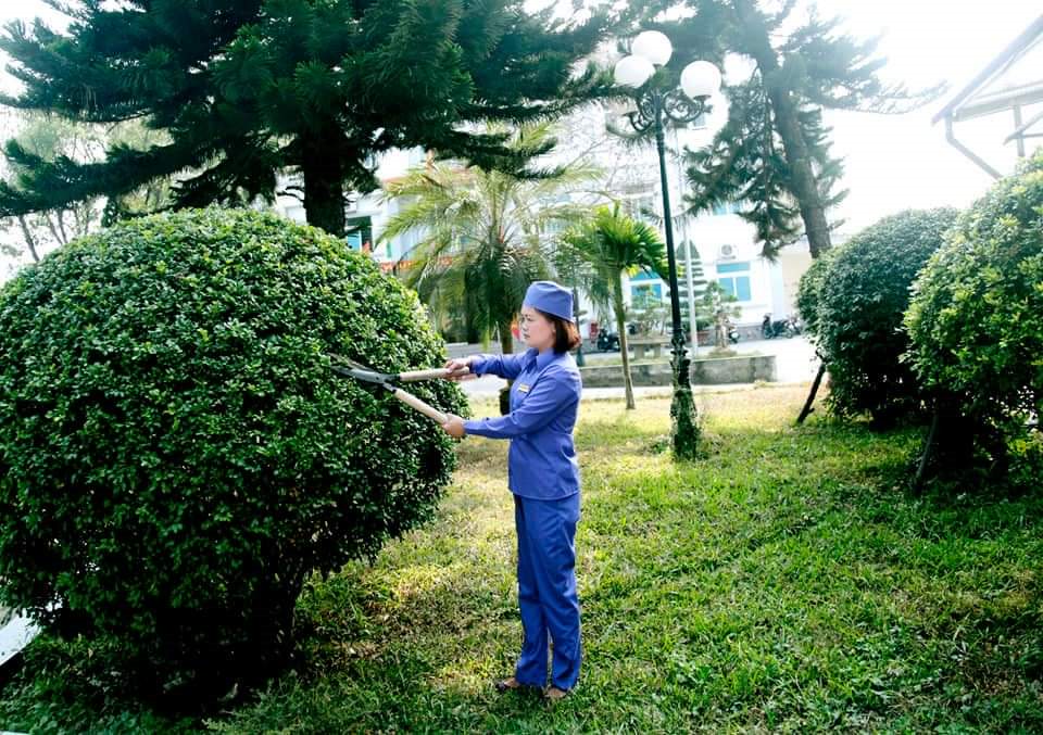 Quy trình chăm sóc cây xanh của An Khang
