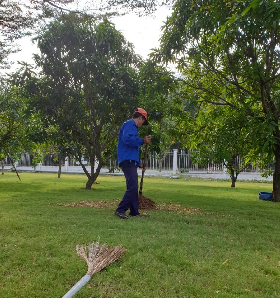 Các dịch vụ chăm sóc cây xanh Bàu Bàng hiện nay