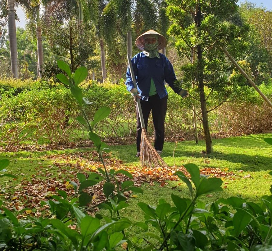 Chăm sóc cây xanh ở Bàu Bàng uy tín hàng đầu