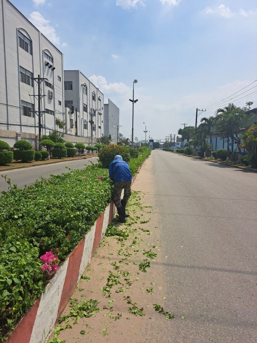 Các dịch vụ thi công cảnh quan tại Bàu Bàng của An Khang
