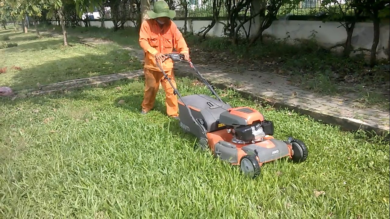 cắt cỏ tại Bàu Bàng