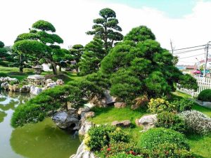 dịch vụ cảnh quan khác ở An Khang