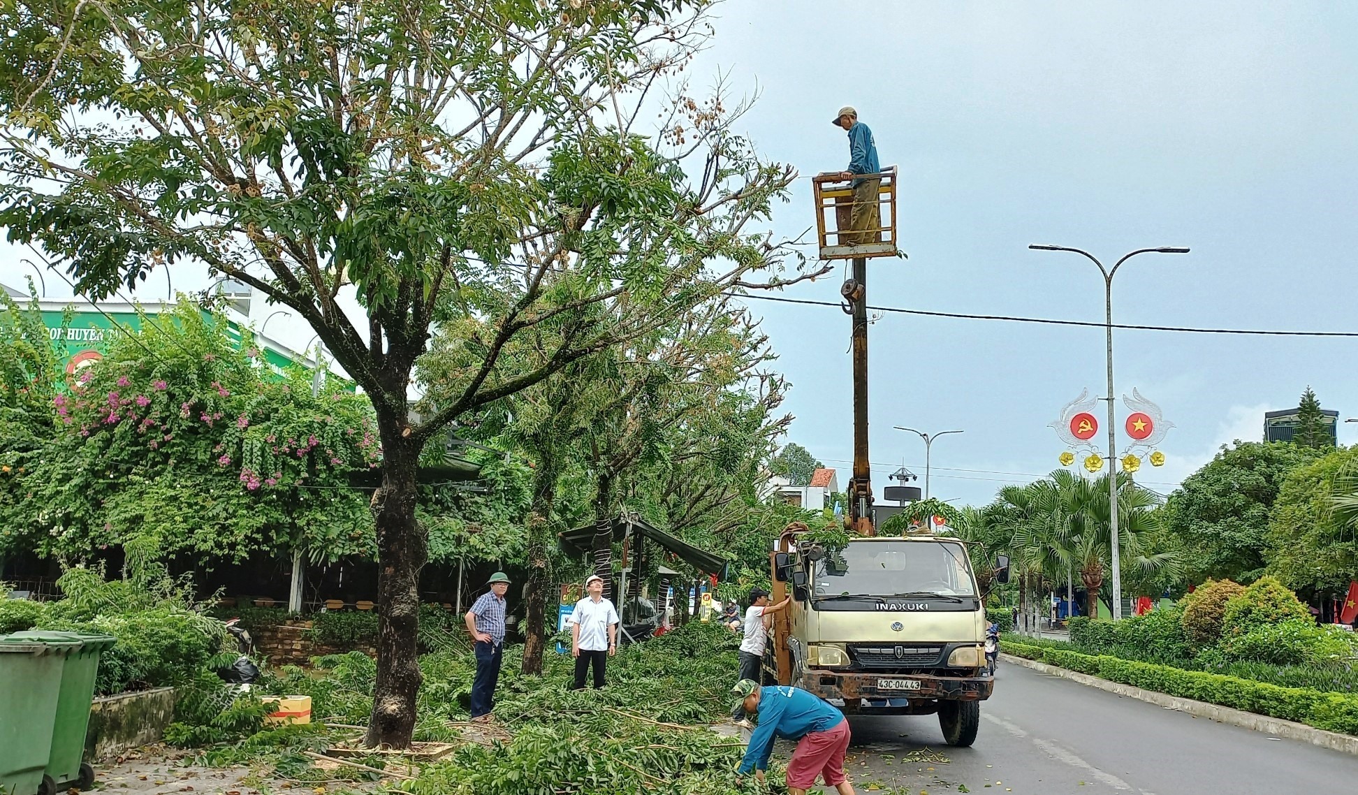 dịch vụ cắt tỉa cây xanh tại Phú Giáo