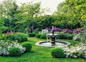 Trồng cây xanh tại Phú Giáo