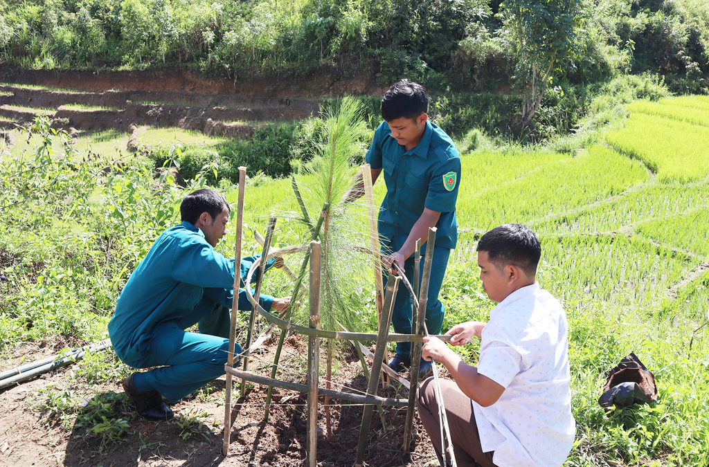 Trồng cây xanh tại Phú Giáo