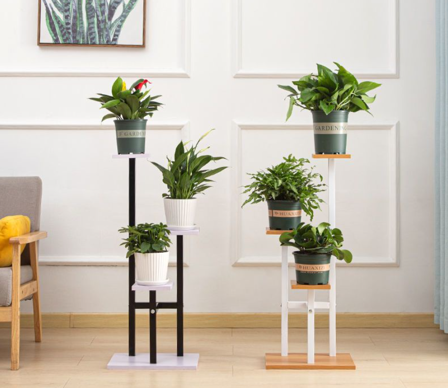 An Khang là đối tác xuất sắc trong ngành cung cấp cây xanh tại Phú Giáo