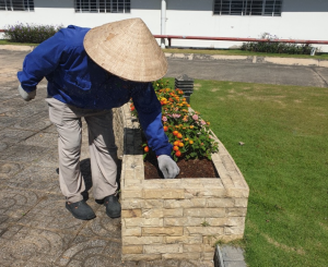 thi công cảnh quan tại Dầu Tiếng