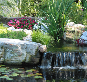 thiết kế thi công cảnh quan tại Phú Giáo