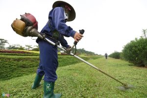 cắt cỏ tại KCN Việt Hương