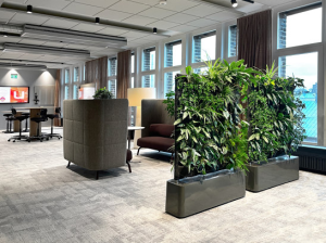 cho thuê cây xanh văn phòng tại KCN Việt Hương