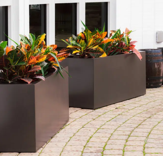 Công ty cung cấp cây xanh tại KCN Vsip Bình Dương chuyên môn cao