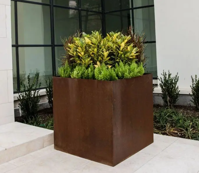 Cung cấp cây xanh tại KCN Vsip Bình Dương chất lượng hàng đầu- An Khang