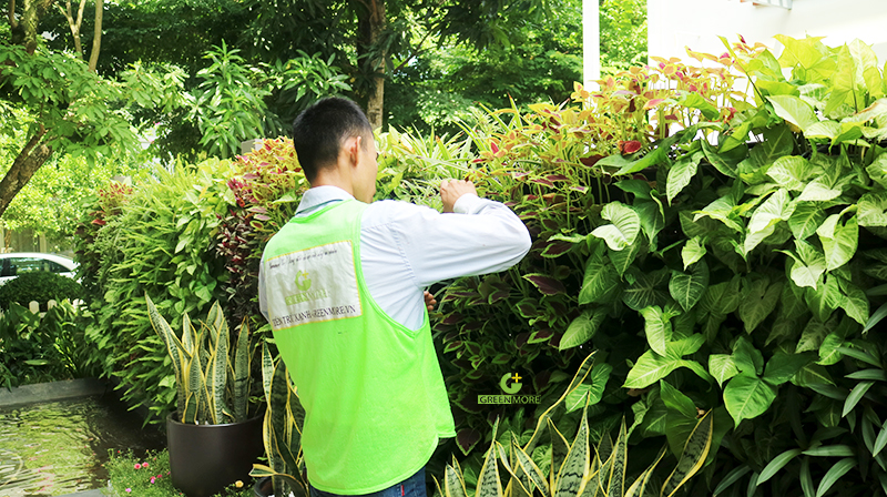 Một số lý do nên chăm sóc cây xanh tại KCN Vsip Bình Dương