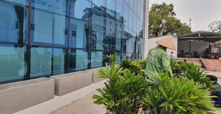 dịch vụ trồng cây xanh tại kcn dệt may Bình An