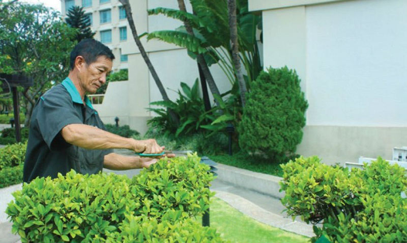 Chăm Sóc Cây Xanh Tại KCN Sóng Thần