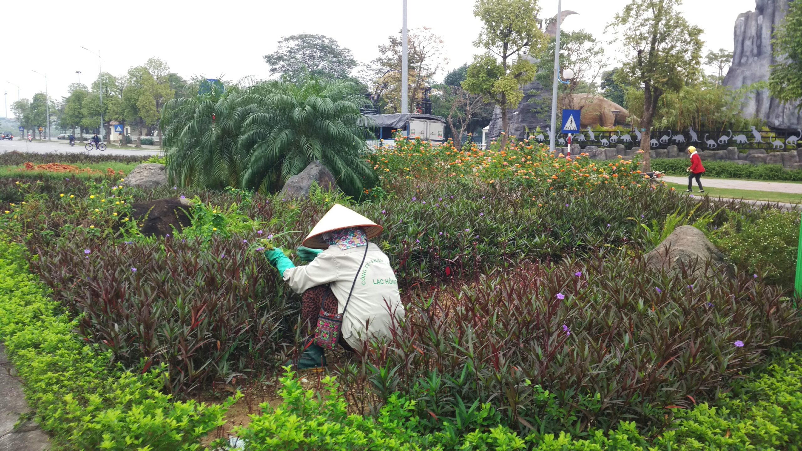 Chăm sóc cây xanh tại Cụm KCN Phú Chánh
