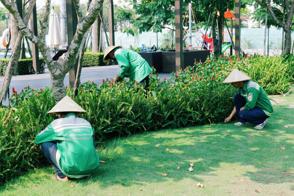 Chăm Sóc Cây Xanh