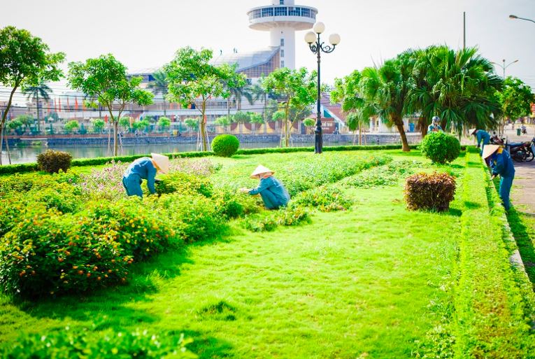 chăm sóc cây xanh tại KCN Đất Cuốc