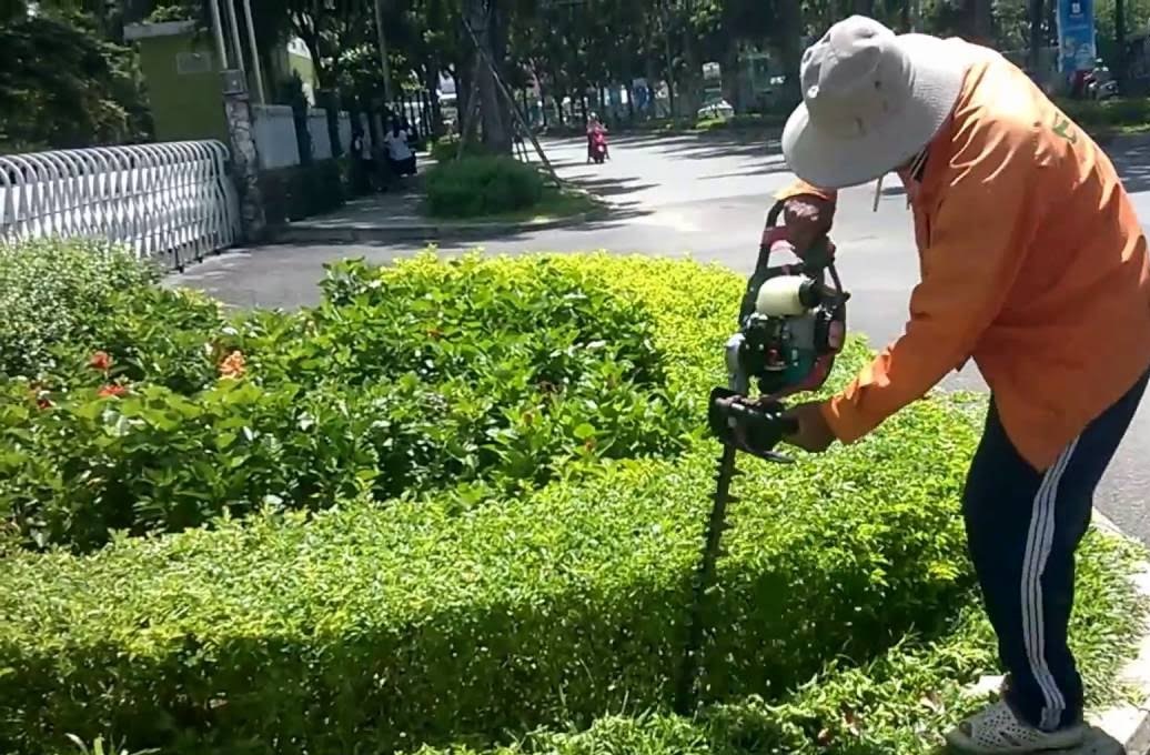 Chăm sóc cây xanh tại KCN Mỹ Phước