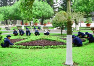 Chăm Sóc Cây Xanh Tại KCN Nam Tân Uyên